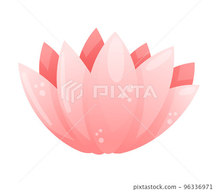 Pink Water Lily Flower with Lush Petals Vector Illustration Pink Water Lily Flower with Lush Petals Vector Illustration 96336971