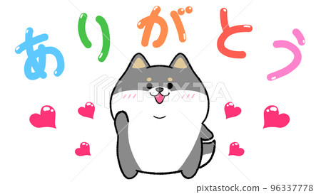 Thank you Kuroshiba Thank you Kuroshiba 96337778
