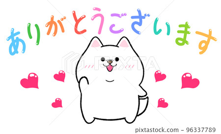 Thank you Shirashiba 96337789
