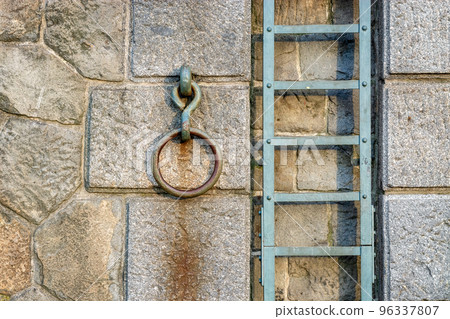 Ring and ladder. 96337807