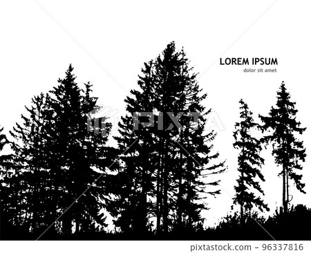 Spruce forest panorama. Vector illustration 96337816