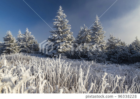 Winter landscape near Velka Destna, Orlicke mountains, Eastern Bohemia, Czech Republic Winter landscape near Velka Destna, Orlicke mountains, Eastern Bohemia, Czech Republic 96338228
