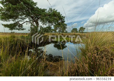 Autumn lake view and tree reflection. Autumn landscape Autumn lake view and tree reflection. Autumn landscape 96338239