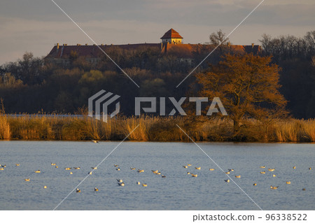 Jaroslavice castle with pond, Znojmo region, Southern Moravia, Czech Republic Jaroslavice castle with pond, Znojmo region, Southern Moravia, Czech Republic 96338522