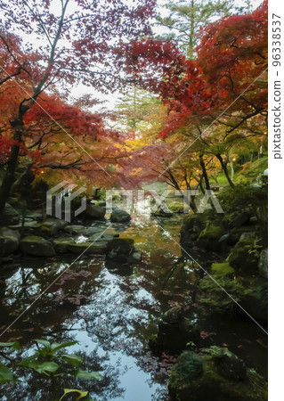 Scenery with lush autumn leaves and a pond Scenery with lush autumn leaves and a pond 96338537