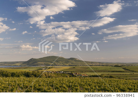 Spring vineyards under Palava near Sonberk, South Moravia, Czech Republic Spring vineyards under Palava near Sonberk, South Moravia, Czech Republic 96338941