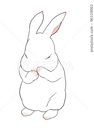 兔子洗臉梳 96339002