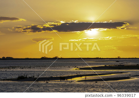 National park Camargue, Provence, France 96339017