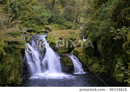 Kikuchi Gorge dyed in autumn colors (Kikuchi City, Kumamoto Prefecture) 96339828