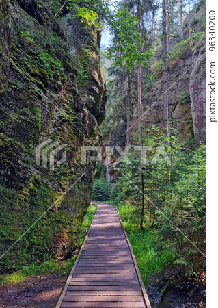 Wooden hiking trail in the forest for walking. Camping, relaxation. 96340200