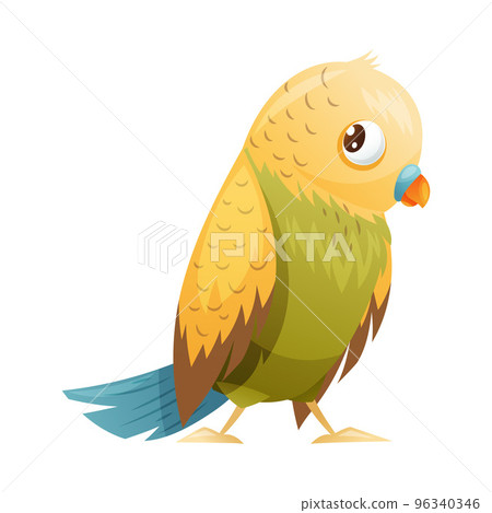 Parrot Bird with Bright Feathers and Beak as Home Pet Animal Vector Illustration 96340346