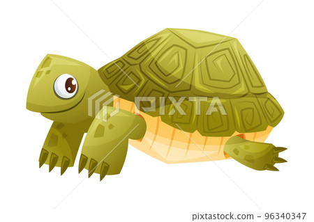 Green Terrestrial Turtle with Shell as Home Pet Animal Vector Illustration 96340347