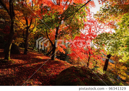 Kyoto in autumn Kyoto in autumn 96341329