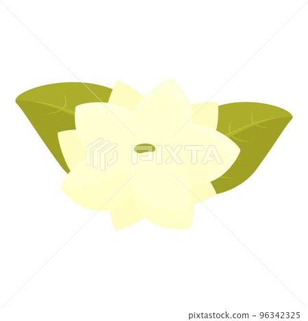 Philippines flower icon cartoon vector. Culture travel. People landmark 96342325