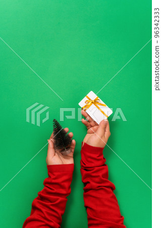 Female hands hold bonus, gift or bank card card and christmas tree in hands Female hands hold bonus, gift or bank card card and christmas tree in hands 96342333