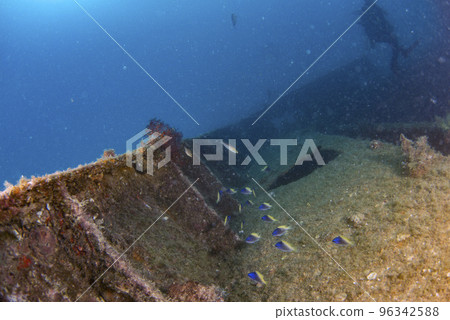 divers exploring a shipwreck underwater divers exploring a shipwreck underwater 96342588