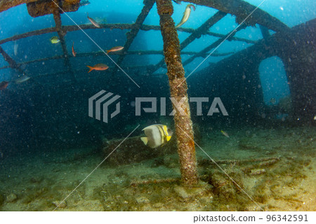 divers exploring a shipwreck underwater 96342591