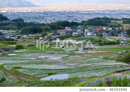 俯瞰盆地的梯田風光 96342840