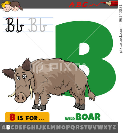 letter B from alphabet with cartoon wild boar animal 96343881