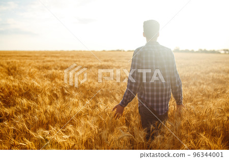 Amazing view with Man With His Back To The Viewer In A Field Of Wheat Touched By The Hand Of Spikes. Amazing view with Man With His Back To The Viewer In A Field Of Wheat Touched By The Hand Of Spikes. 96344001