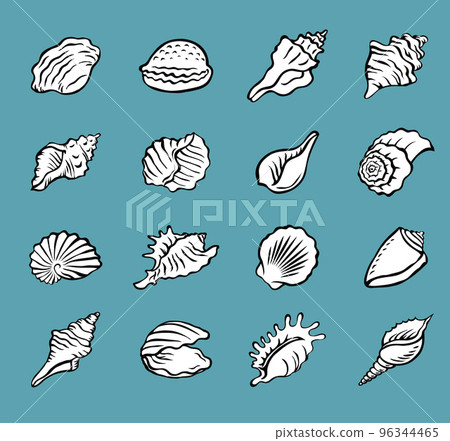 Cartoon seashells set isolated on blue background 96344465