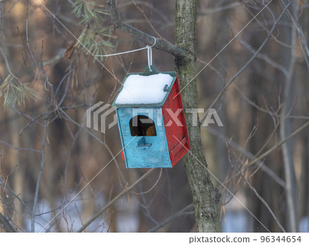 Wooden birdhouse on a pine tree. Autumn forest. 96344654