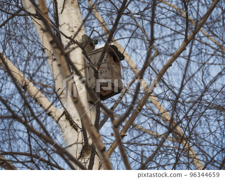 Wooden birdhouse on a pine tree. Autumn forest. Wooden birdhouse on a pine tree. Autumn forest. 96344659