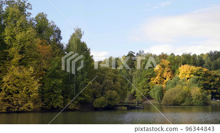 Autumn leaves fall in the forest, natural landscape Autumn leaves fall in the forest, natural landscape 96344843