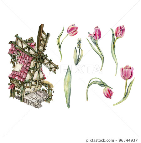 Hand drawn watercolor pink flowers tulips set and windmill with pink roof. It's perfect for greeting cards, wedding invitation, birthday and mothers day cards. isolated on white background.  96344937