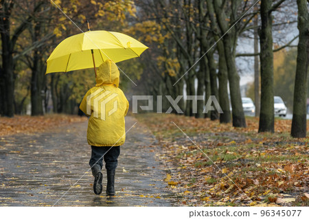 Back view on boy with an umbrella walking in the rain in autumn park. Child on the walk. 96345077