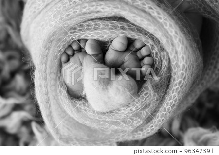 Feet of a newborn close-up in a woolen blanket. Pregnancy, motherhood, preparation and expectation of motherhood, the concept of the birth of a child. Black and white photography. Feet of a newborn close-up in a woolen blanket. Pregnancy, motherhood, preparation and expectation of motherhood, the concept of the birth of a child. Black and white photography. 96347391