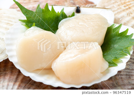 扇貝生魚片放在扇貝殼上。 扇貝生魚片放在扇貝殼上。 96347519