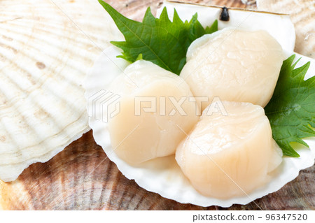 Scallop sashimi served on a scallop shell. Scallop sashimi served on a scallop shell. 96347520