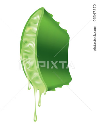 Aloe vera, realistic green plant, leaves and cut pieces with fresh juice drops, isolated on white background. Icon use for cosmetic products advertesment or for banner, poster design 96347870