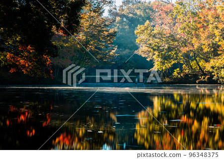 湖和秋葉 96348375