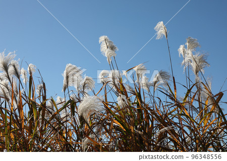 Susuki Susuki 96348556