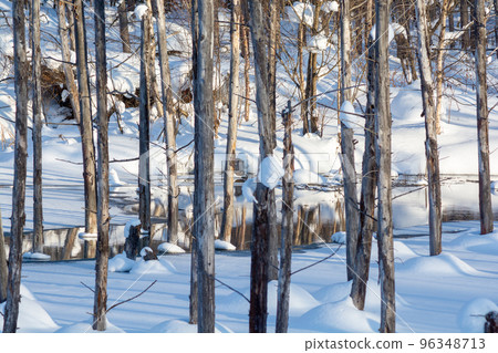 Winter's Blue Pond Biei-cho 96348713