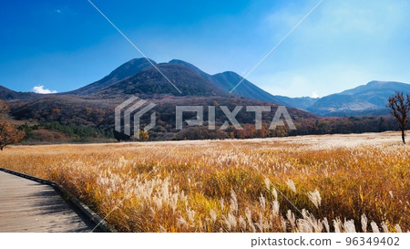 九重山和蒲葦風景 九重山和蒲葦風景 96349402