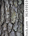 Bark 96349919