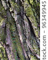 Bark 96349945