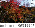 Autumn leaves of Da Ningong 96349947