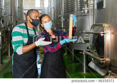Two winemakers checking winemaking process at factory 96350371