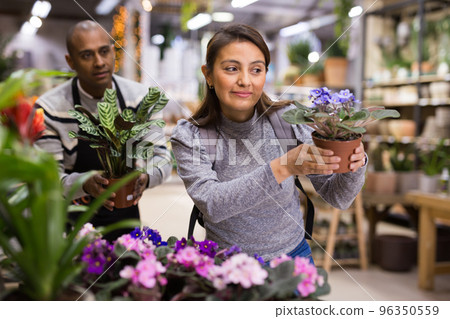 Portrait of woman chooses flowers geranium in shop 96350559