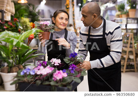 Flower shop employees take care of flowers together 96350680