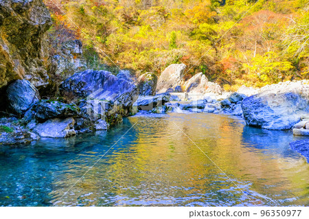 Sanbaishikyo of autumn leaves 96350977