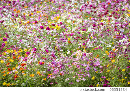 多彩的宇宙 96351384