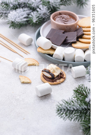 Smores with marshmallow, chocolate and crackers Smores with marshmallow, chocolate and crackers 96351605