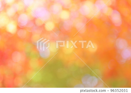 楓葉模糊 [背景虛化] [失焦] 96352031