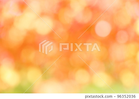 楓葉模糊 [背景虛化] [失焦] 96352036