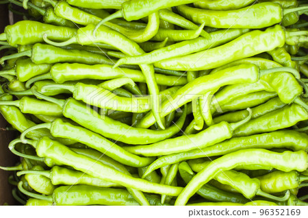 selected spicy green pepper background selected spicy green pepper background 96352169